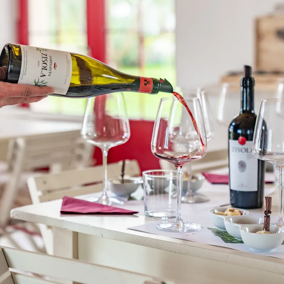 Marchesi Mazzei Zisola Premium Wine Tour buono 35 €