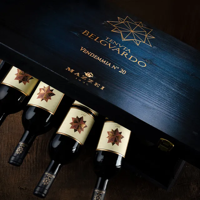 Marchesi Mazzei Belguardo Wine Tour privato 75 minuti