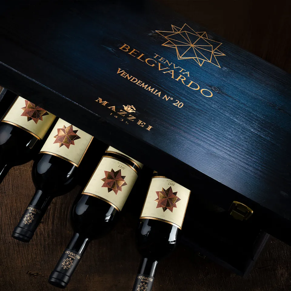 Marchesi Mazzei Belguardo Wine Tour privato 75 minuti