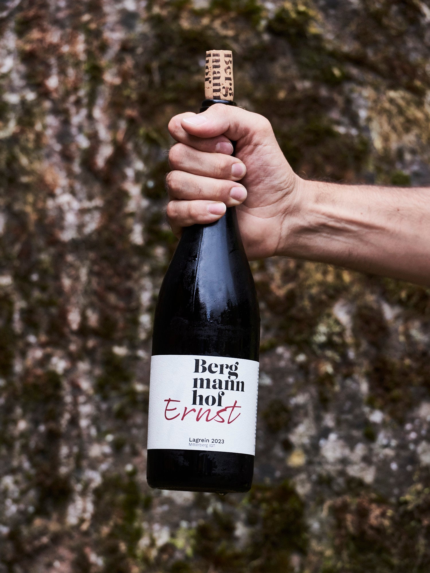 Bergmannhof Degustazione privata degustazione vini cantina storica