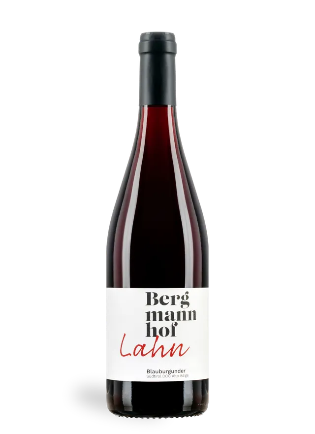 Bergmannhof Lahn Pinot Nero Riserva 2023 vino rosso Alto Adige