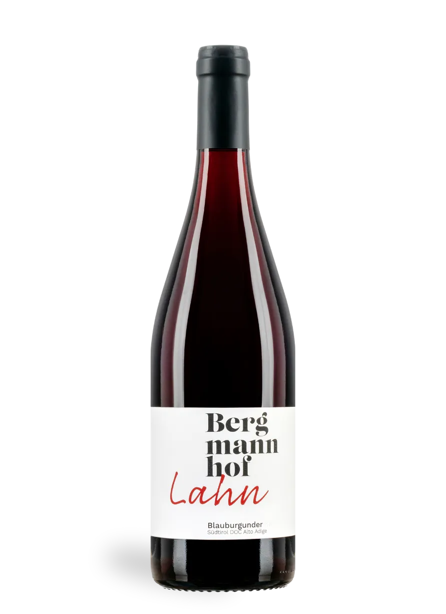 Bergmannhof Lahn Pinot Nero Riserva 2023 vino rosso Alto Adige