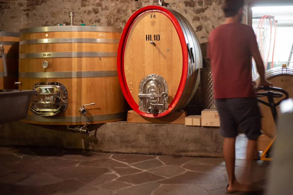 Bergmannhof Visita cantina e degustazione esperienza vigneto 90 min