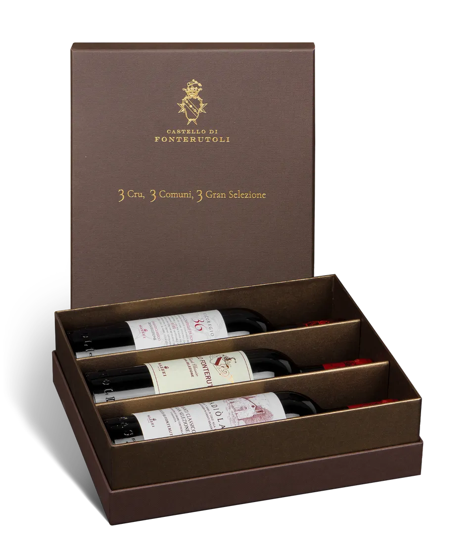 Marchesi Mazzei Mixed Case 3 Gran Selezione cassa 3x0,75lt rossi