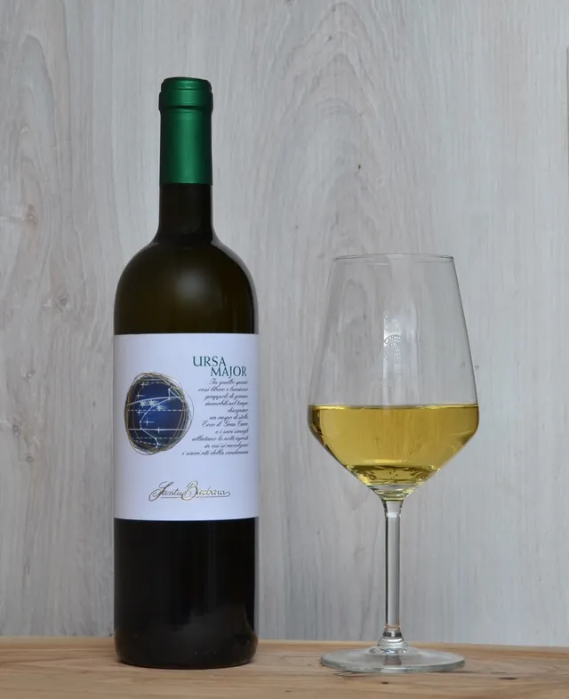Cantine Santa Barbara Ursa Major Bianco vino bianco Sauvignon