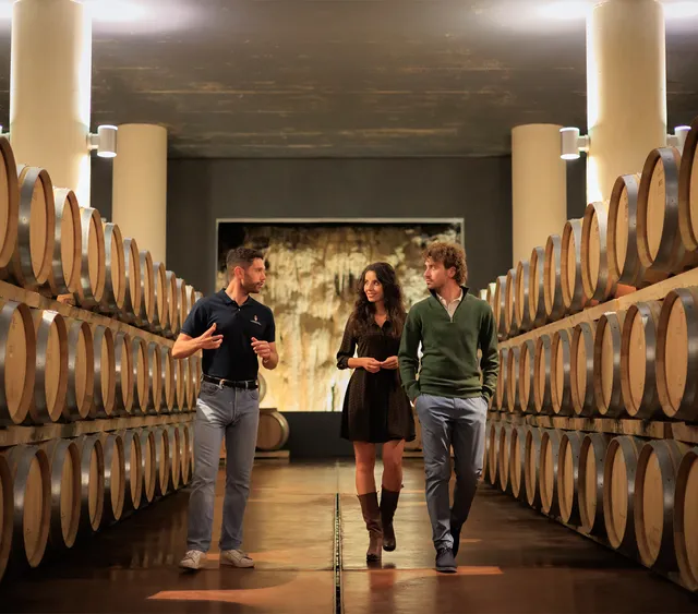Marchesi Mazzei Fonterutoli Wine Tour visita cantina 75 minuti