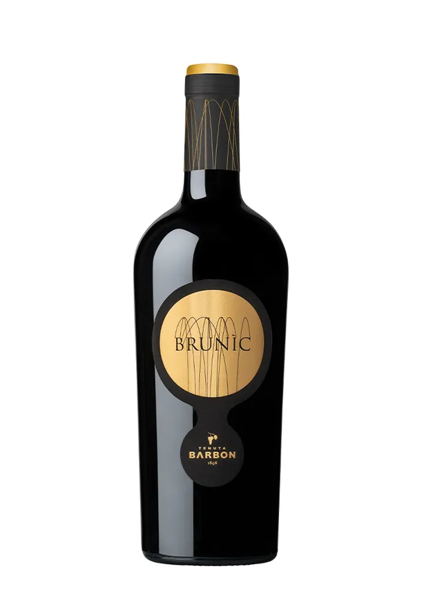 Tenuta Barbon Brunic Carmenère IGT Marca Trevigiana rosso 75cl corposo