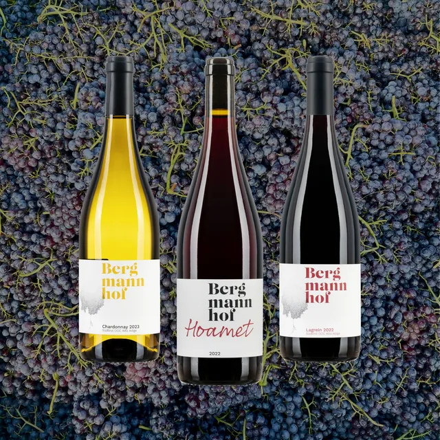 Bergmannhof Herbst-Paket Zwoa box vini misti 12 bottiglie premiato