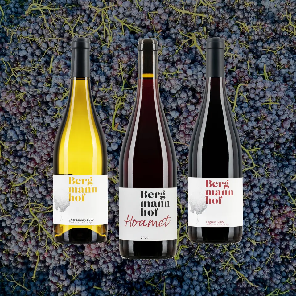 Bergmannhof Herbst-Paket Zwoa box vini misti 12 bottiglie premiato
