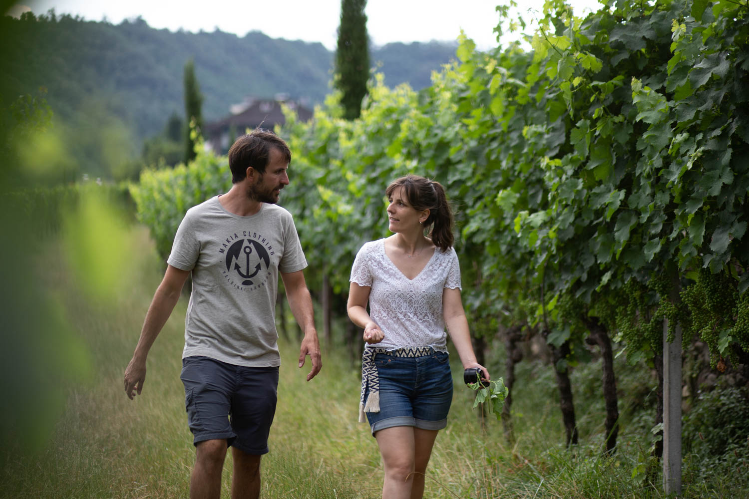Bergmannhof Visita cantina e degustazione esperienza vigneto 90 min