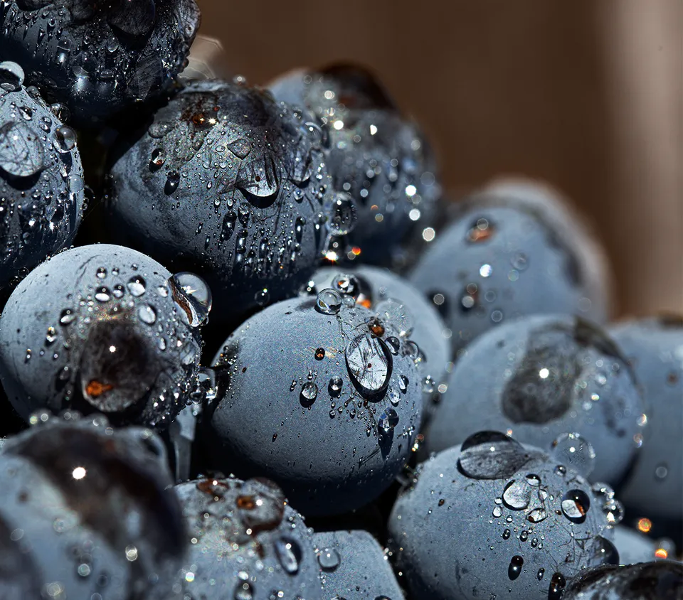 Marchesi Mazzei Super Tuscan Grand Tasting tour 105 minuti
