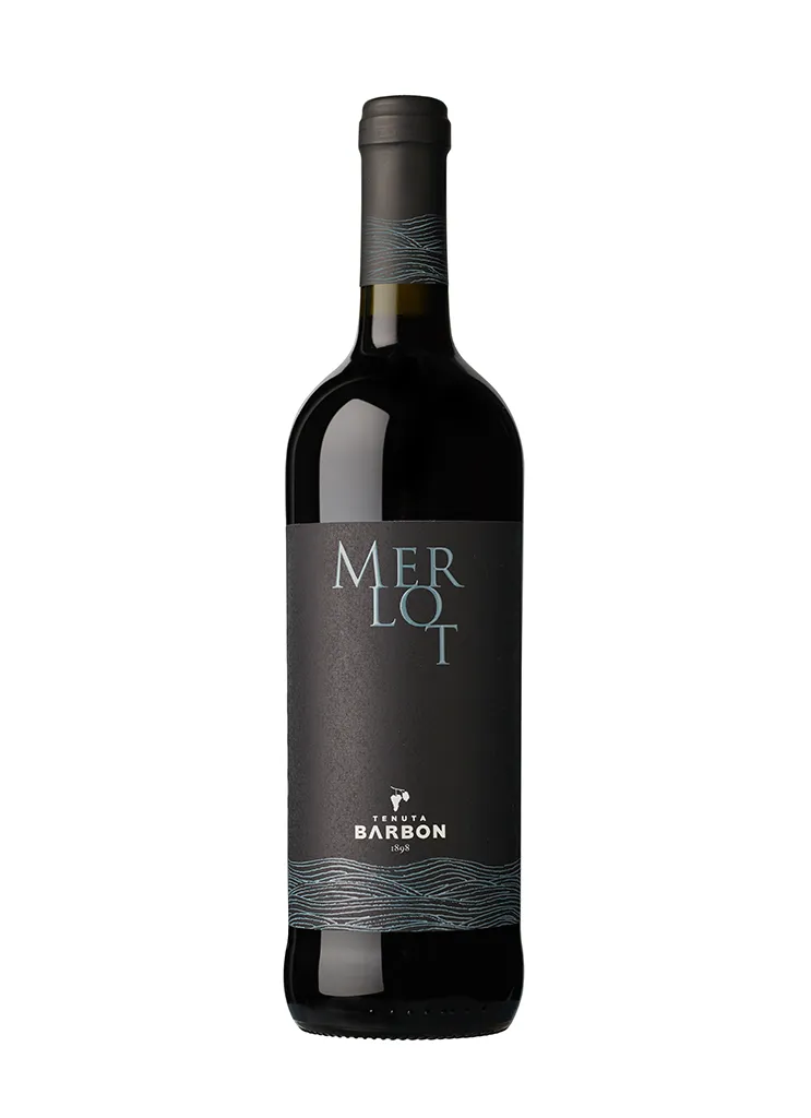 Tenuta Barbon Merlot Trevenezie vino rosso 12% corposo