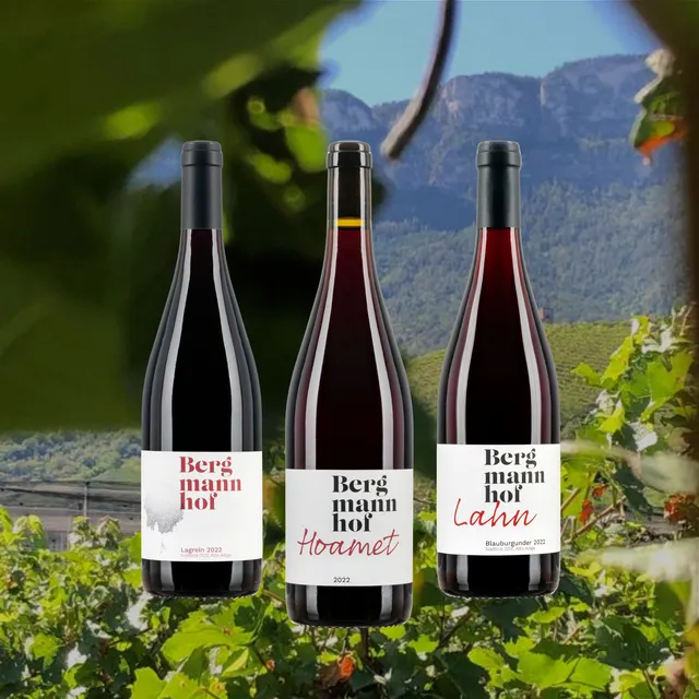 Bergmannhof Herbst-Paket Oans box vini rossi 6 bottiglie Riserva
