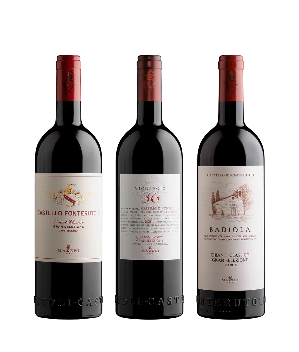 Marchesi Mazzei Gran Selezione abbonamento vini Chianti