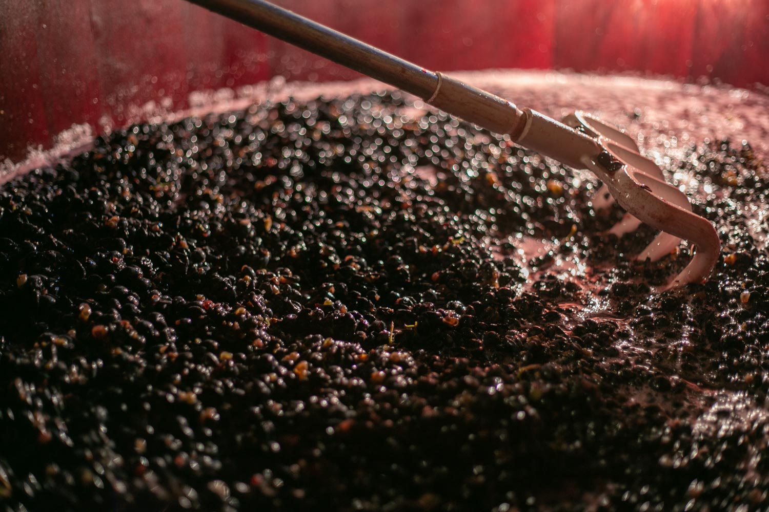 Bergmannhof Lahn Pinot Nero Riserva 2023 vino rosso Alto Adige