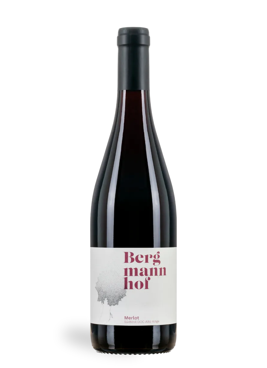 Bergmannhof Merlot 2024 vino rosso Alto Adige 75 cl