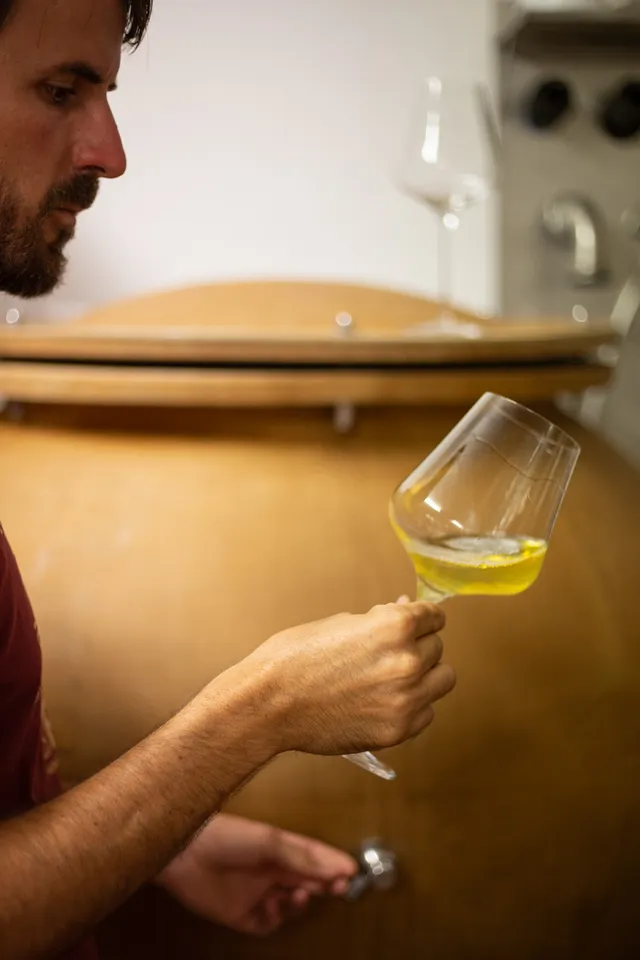 Bergmannhof Degustazione privata degustazione vini cantina storica
