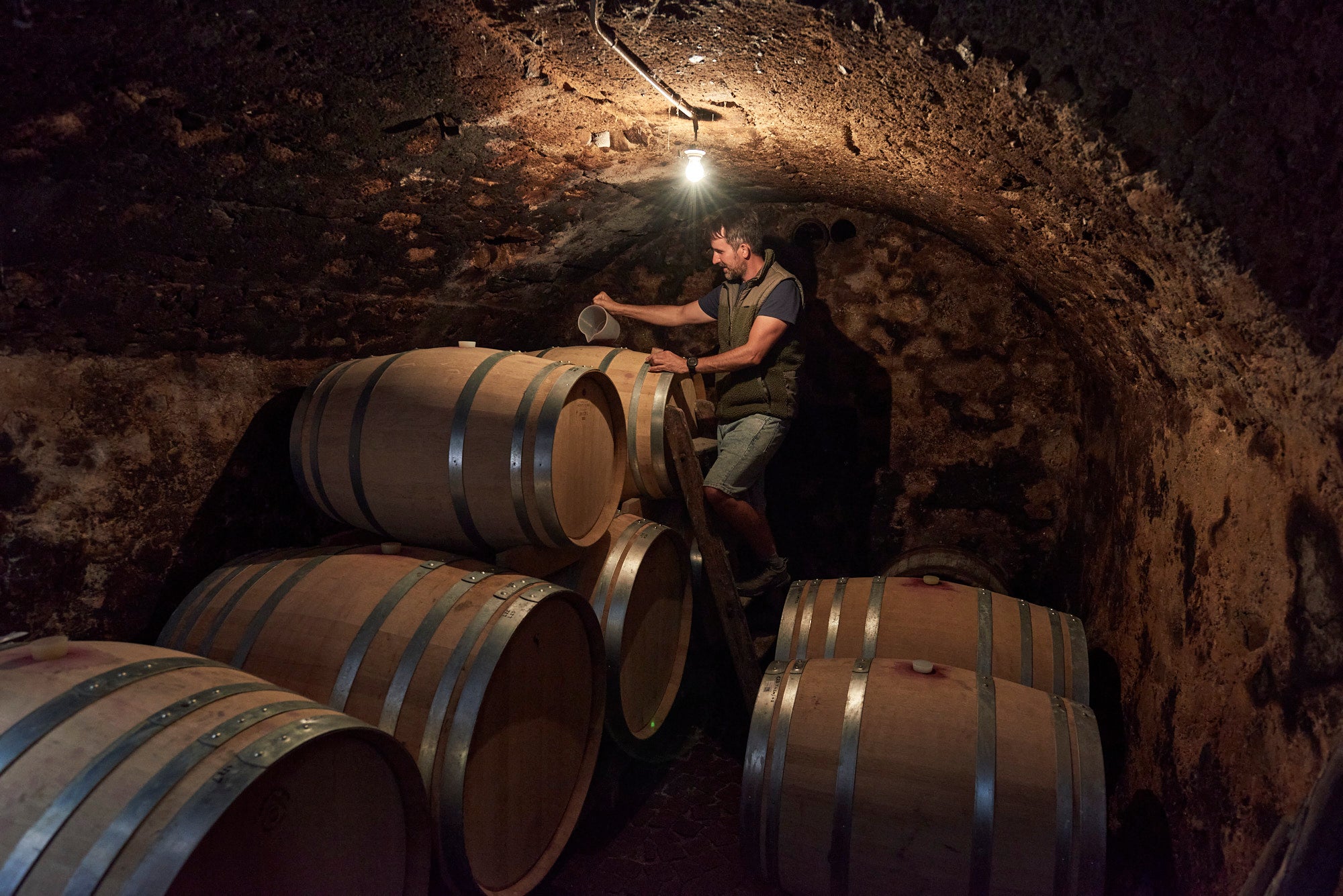 Bergmannhof Visita cantina e degustazione esperienza vigneto 90 min