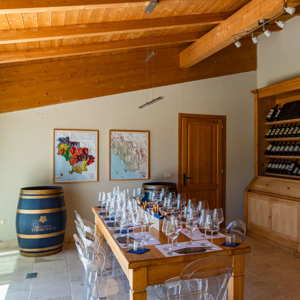 Marchesi Mazzei Belguardo Wine Tour visita 45 minuti