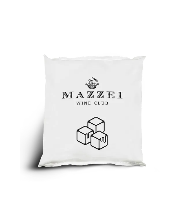 Marchesi Mazzei Ice Pack Borsa Frigo Raffredda Bottiglia