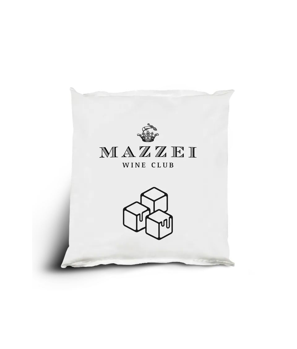 Marchesi Mazzei Ice Pack Borsa Frigo Raffredda Bottiglia