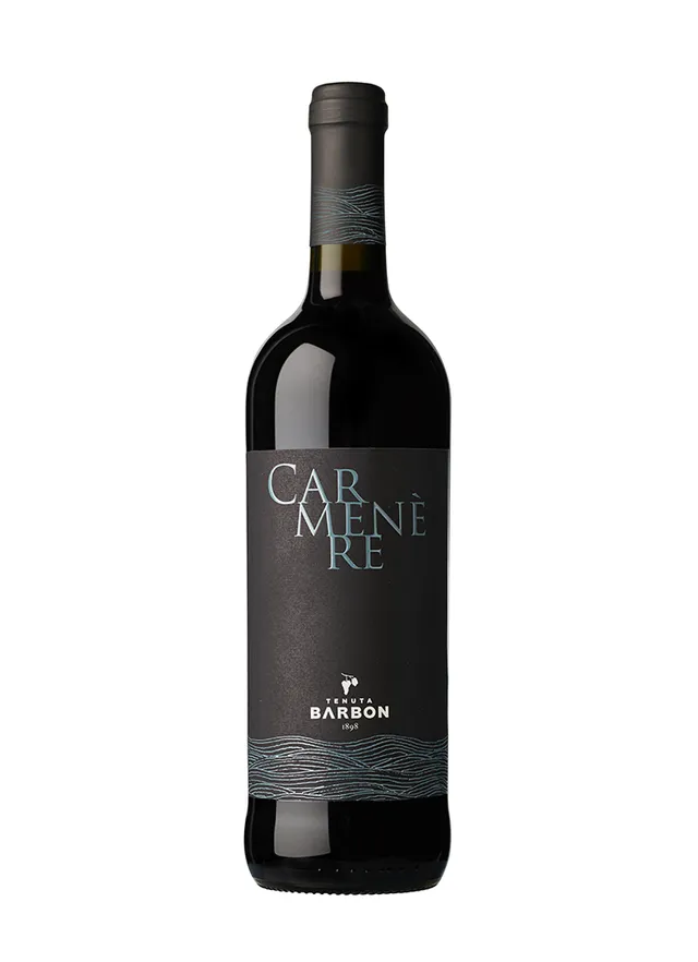 Tenuta Barbon Carmenère IGT Marca Trevigiana vino rosso 75cl erbaceo
